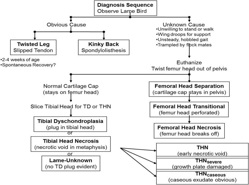 https://cdn.ncbi.nlm.nih.gov/pmc/blobs/0d30/11390708/05b291618c6c/fphys-15-1452318-g003.jpg