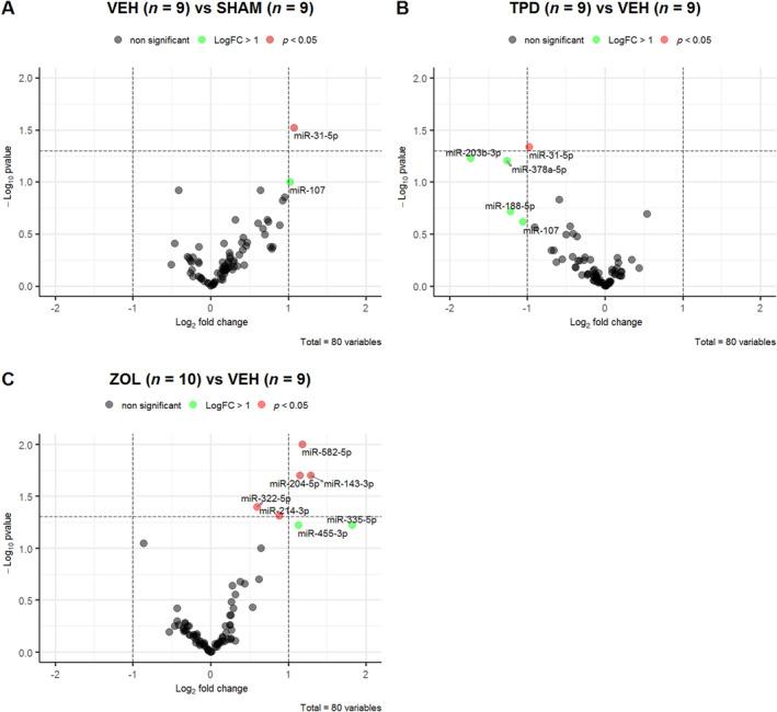 https://cdn.ncbi.nlm.nih.gov/pmc/blobs/0d30/8252367/9ea444479225/JBMR-36-1131-g006.jpg