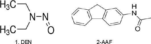 https://cdn.ncbi.nlm.nih.gov/pmc/blobs/0d31/5591604/088b28e851db/OAMJMS-5-686-g001.jpg