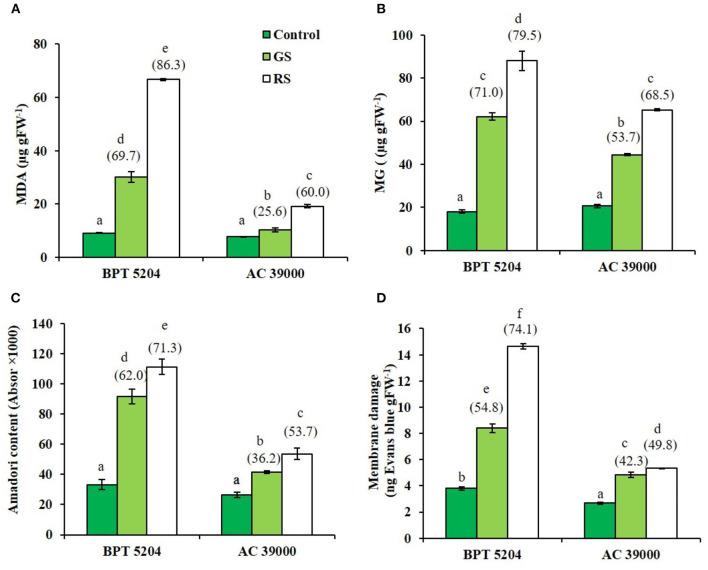 https://cdn.ncbi.nlm.nih.gov/pmc/blobs/0d32/7930615/3a6cb8c79996/fpls-11-632919-g0004.jpg