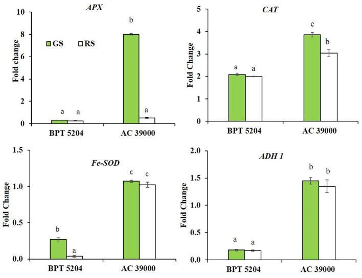 https://cdn.ncbi.nlm.nih.gov/pmc/blobs/0d32/7930615/c67ee15dec9c/fpls-11-632919-g0006.jpg