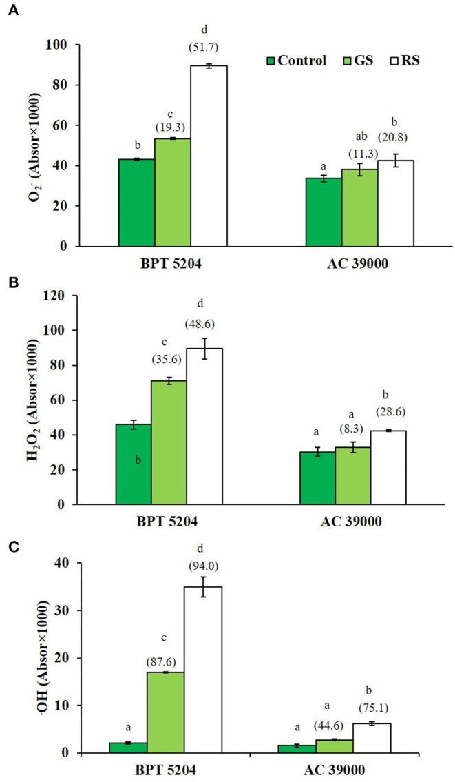 https://cdn.ncbi.nlm.nih.gov/pmc/blobs/0d32/7930615/f59b6e64919e/fpls-11-632919-g0003.jpg