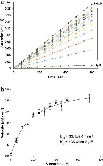 https://cdn.ncbi.nlm.nih.gov/pmc/blobs/0d33/4678762/720a4080e6d9/13072_2015_48_Fig3_HTML.jpg