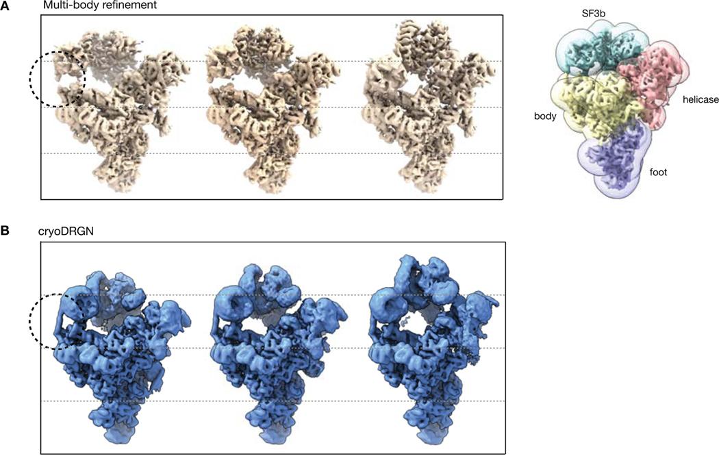 https://cdn.ncbi.nlm.nih.gov/pmc/blobs/0d33/8183613/a1572041d05a/nihms-1656428-f0015.jpg