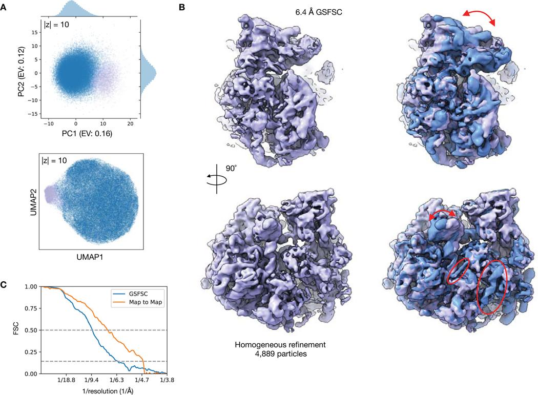 https://cdn.ncbi.nlm.nih.gov/pmc/blobs/0d33/8183613/fe45f646c72b/nihms-1656428-f0010.jpg