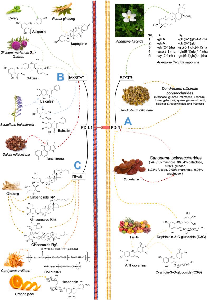 https://cdn.ncbi.nlm.nih.gov/pmc/blobs/0d33/9069318/aae1b553c96b/gr7.jpg