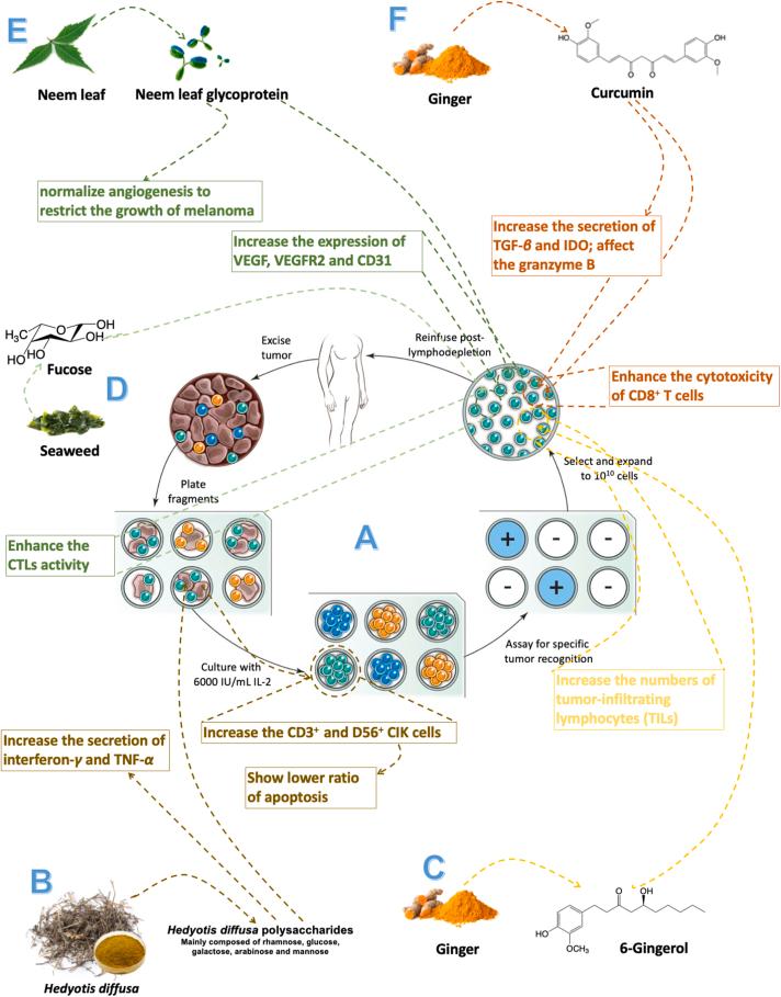 https://cdn.ncbi.nlm.nih.gov/pmc/blobs/0d33/9069318/b7654f2faf82/gr9.jpg