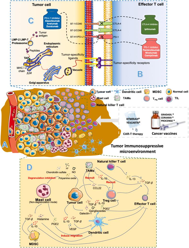 https://cdn.ncbi.nlm.nih.gov/pmc/blobs/0d33/9069318/bcd157cd4347/gr2.jpg