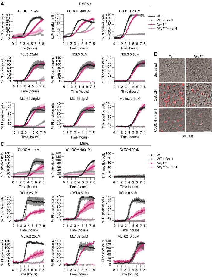 https://cdn.ncbi.nlm.nih.gov/pmc/blobs/0d35/10987646/723f5dddcb1d/44318_2024_55_Fig10_ESM.jpg