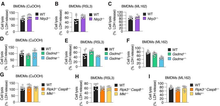 https://cdn.ncbi.nlm.nih.gov/pmc/blobs/0d35/10987646/8f41fbc1caee/44318_2024_55_Fig9_ESM.jpg