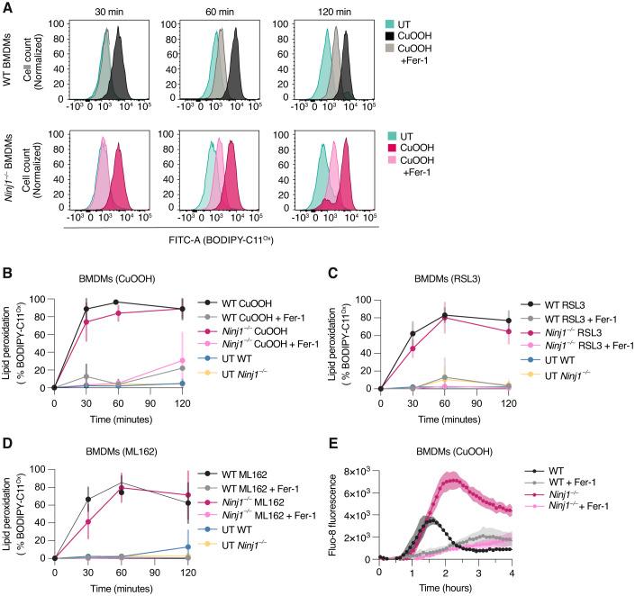 https://cdn.ncbi.nlm.nih.gov/pmc/blobs/0d35/10987646/d9e18f8510fc/44318_2024_55_Fig4_HTML.jpg