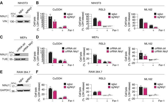 https://cdn.ncbi.nlm.nih.gov/pmc/blobs/0d35/10987646/f68feddec238/44318_2024_55_Fig3_HTML.jpg