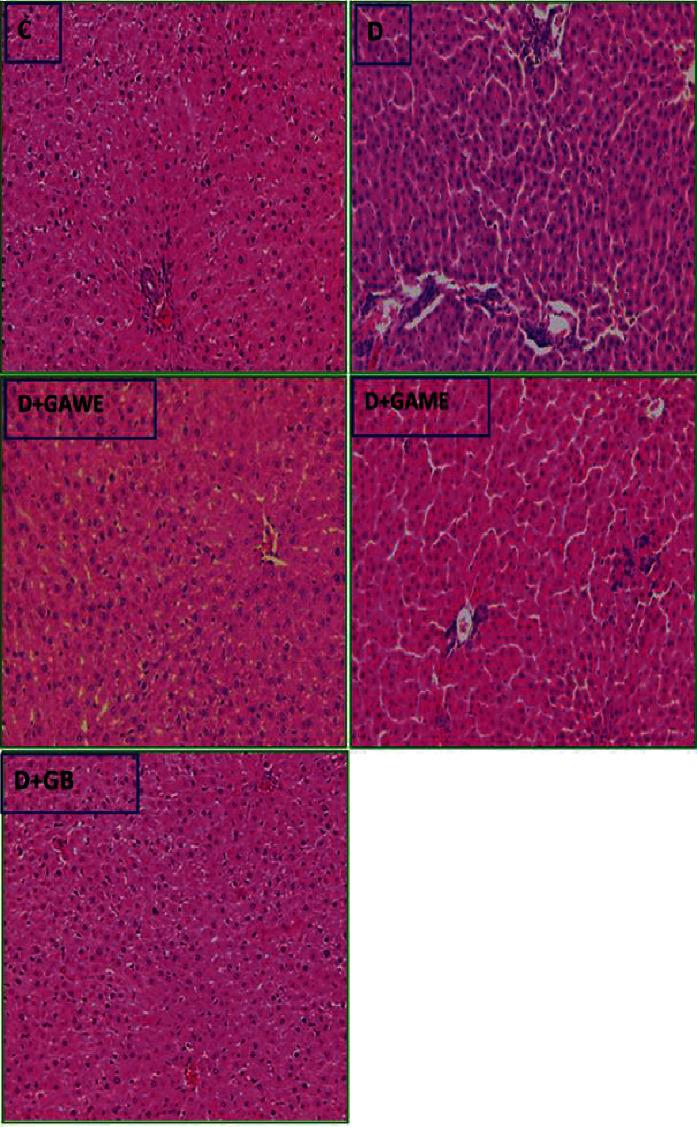 https://cdn.ncbi.nlm.nih.gov/pmc/blobs/0d35/9448544/11e2a2d20229/ECAM2022-6816942.004.jpg