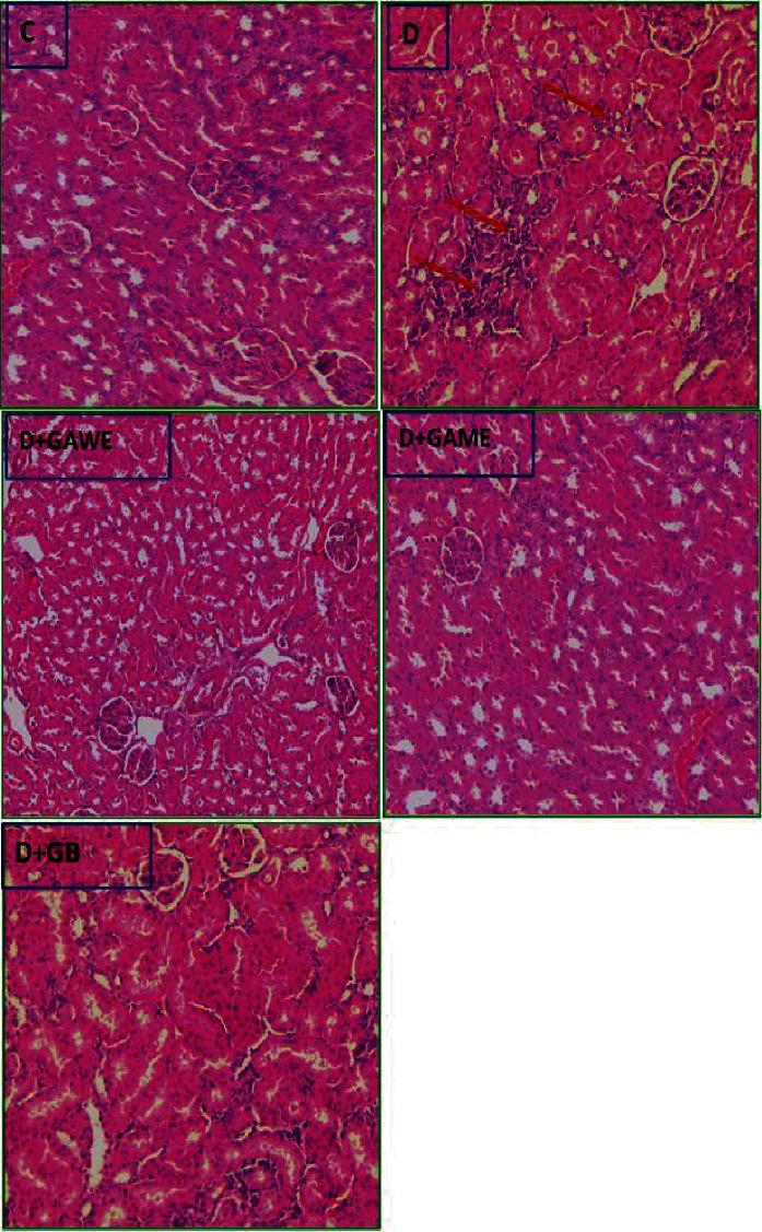 https://cdn.ncbi.nlm.nih.gov/pmc/blobs/0d35/9448544/3a765562bfe4/ECAM2022-6816942.005.jpg