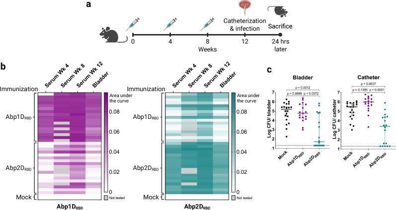 https://cdn.ncbi.nlm.nih.gov/pmc/blobs/0d36/12335481/35a04418a9c3/41467_2025_62402_Fig3_HTML.jpg