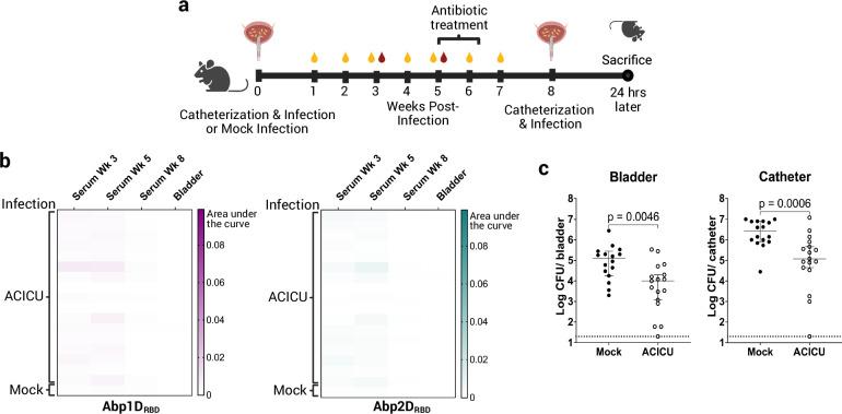 https://cdn.ncbi.nlm.nih.gov/pmc/blobs/0d36/12335481/4a72b19320a6/41467_2025_62402_Fig1_HTML.jpg