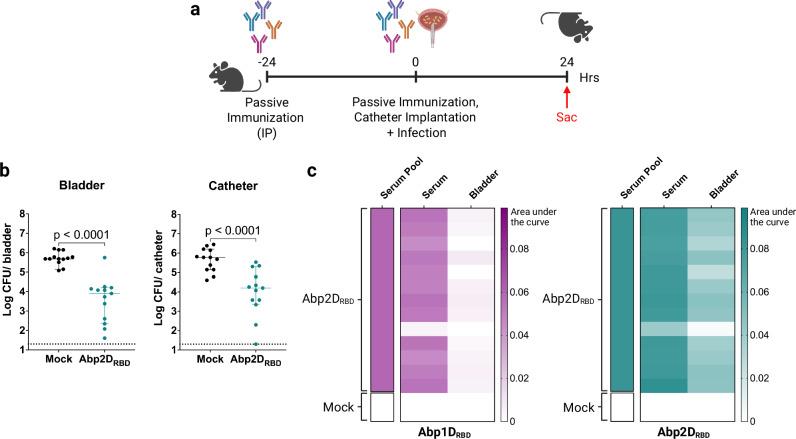https://cdn.ncbi.nlm.nih.gov/pmc/blobs/0d36/12335481/ddc8b5e37e5e/41467_2025_62402_Fig5_HTML.jpg