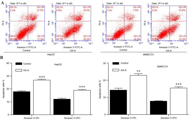 https://cdn.ncbi.nlm.nih.gov/pmc/blobs/0d37/5646967/a1158601b5db/MMR-16-04-3894-g02.jpg