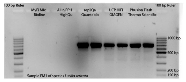 https://cdn.ncbi.nlm.nih.gov/pmc/blobs/0d39/9409269/be0e31431db0/insects-13-00679-g002.jpg