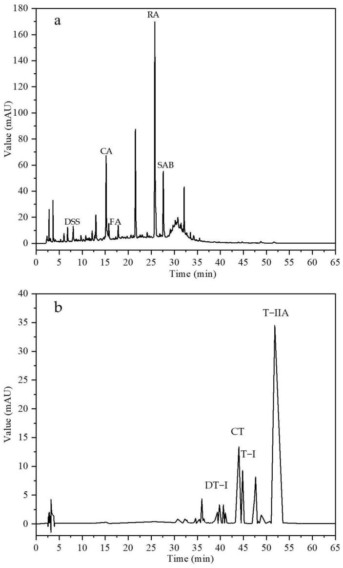 https://cdn.ncbi.nlm.nih.gov/pmc/blobs/0d3c/12114755/6f631535753d/pharmaceuticals-18-00728-g001.jpg