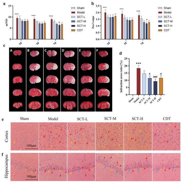 https://cdn.ncbi.nlm.nih.gov/pmc/blobs/0d3c/12114755/8ad47299128a/pharmaceuticals-18-00728-g003.jpg