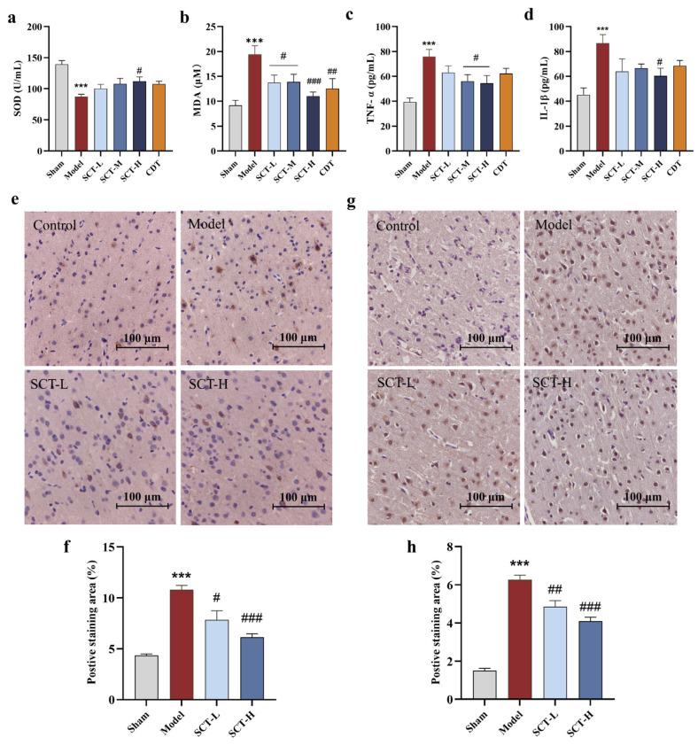 https://cdn.ncbi.nlm.nih.gov/pmc/blobs/0d3c/12114755/a5f403647283/pharmaceuticals-18-00728-g004.jpg