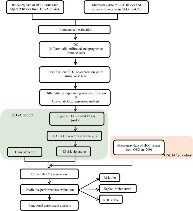 https://cdn.ncbi.nlm.nih.gov/pmc/blobs/0d3d/8181399/3fb17b74e50e/fmolb-08-636991-g001.jpg