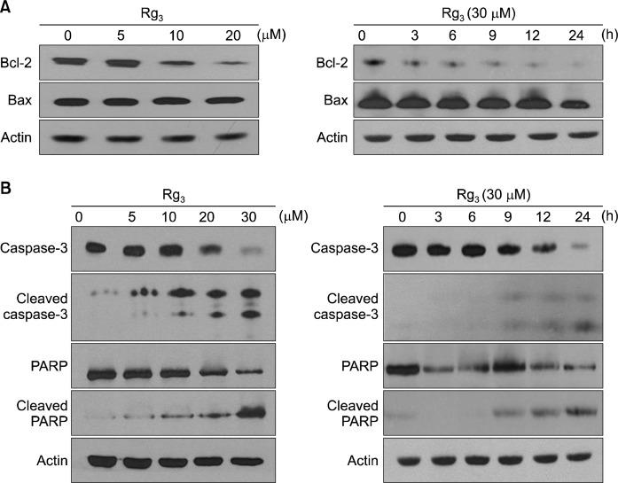 https://cdn.ncbi.nlm.nih.gov/pmc/blobs/0d3f/4189457/34c40b40a86d/jcp-18-177f3.jpg