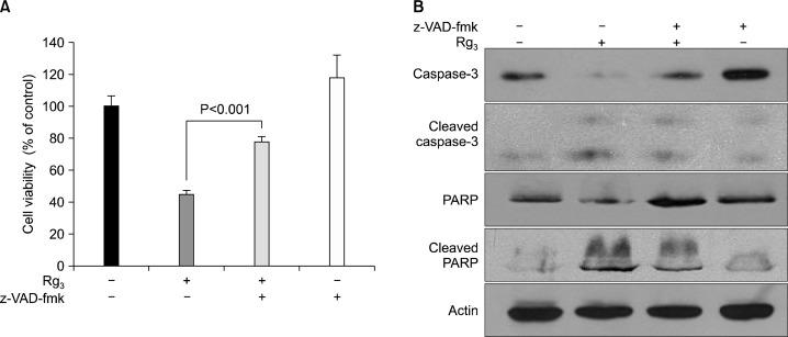 https://cdn.ncbi.nlm.nih.gov/pmc/blobs/0d3f/4189457/7af77c7791ec/jcp-18-177f4.jpg