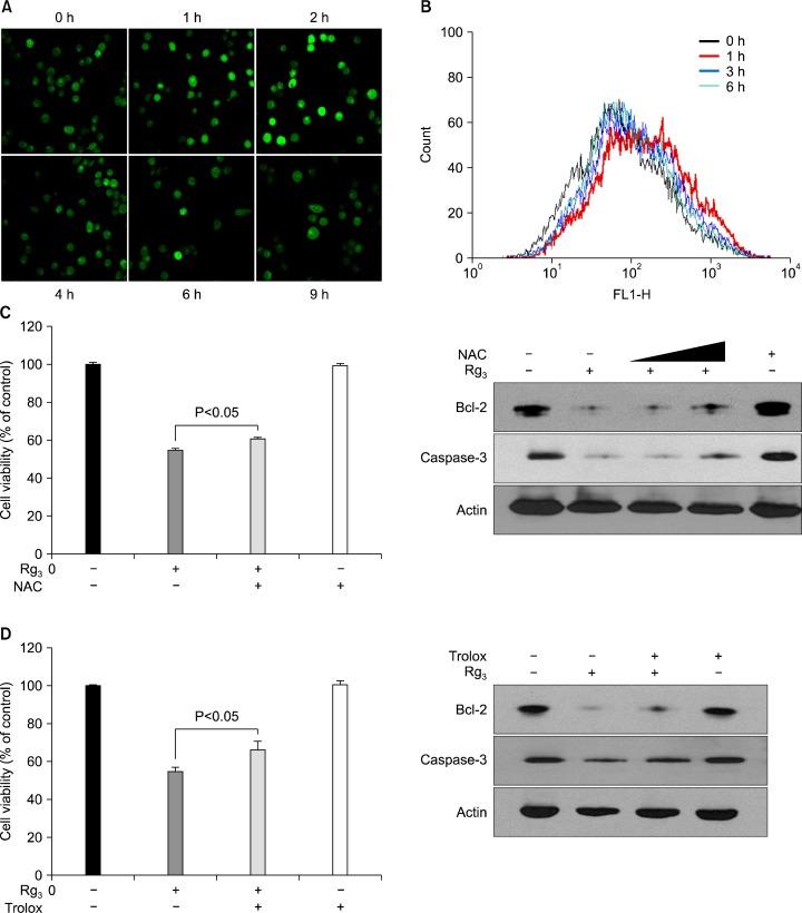 https://cdn.ncbi.nlm.nih.gov/pmc/blobs/0d3f/4189457/ca33f6d7470b/jcp-18-177f5.jpg
