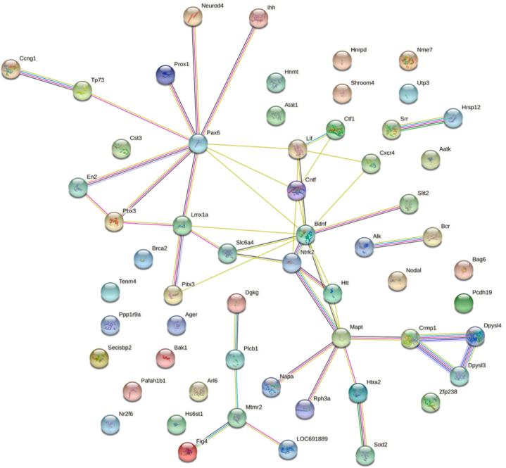 https://cdn.ncbi.nlm.nih.gov/pmc/blobs/0d41/11760294/37aacb0afaf3/gr6.jpg