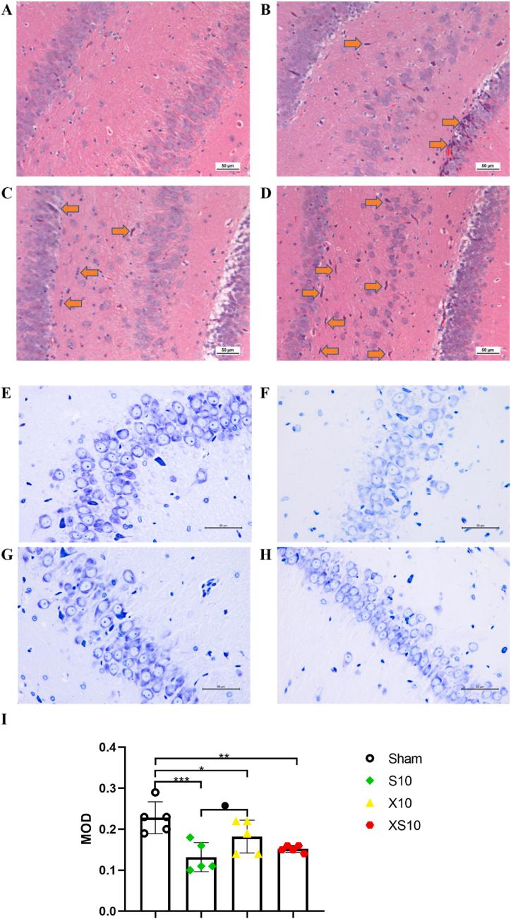 https://cdn.ncbi.nlm.nih.gov/pmc/blobs/0d41/11760294/629dcf6ddb71/gr4.jpg