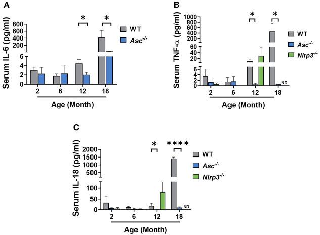 https://cdn.ncbi.nlm.nih.gov/pmc/blobs/0d41/7905095/34eba8cf0b99/fcell-08-628473-g0001.jpg