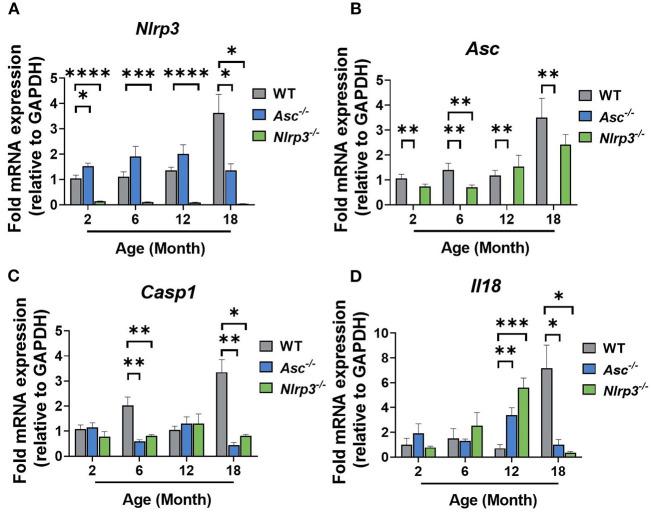 https://cdn.ncbi.nlm.nih.gov/pmc/blobs/0d41/7905095/c9ba0fc78f13/fcell-08-628473-g0002.jpg