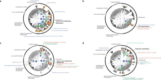 https://cdn.ncbi.nlm.nih.gov/pmc/blobs/0d42/11324742/ca904596b973/41522_2024_530_Fig4_HTML.jpg