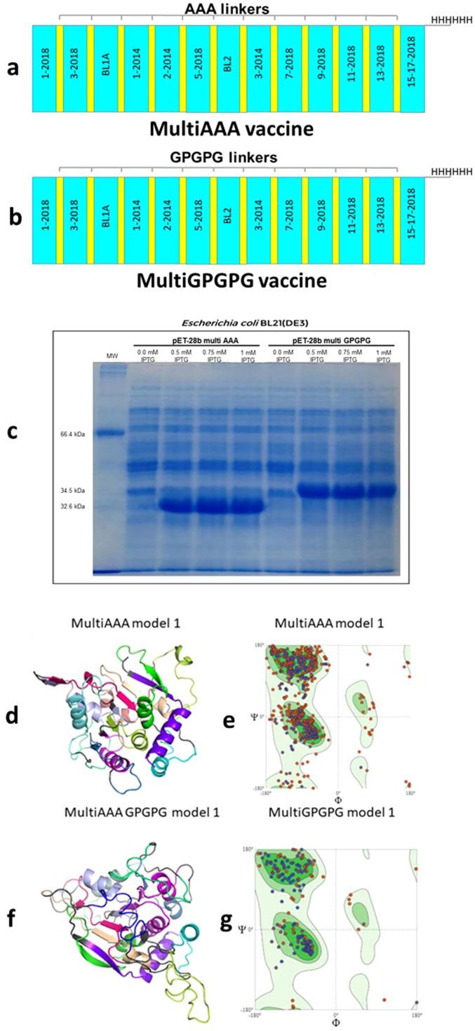 https://cdn.ncbi.nlm.nih.gov/pmc/blobs/0d42/11994619/0f14dff78ec3/fimmu-16-1540537-g008.jpg