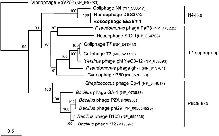 https://cdn.ncbi.nlm.nih.gov/pmc/blobs/0d42/2784036/067ab9f33aae/emi0011-2055-f4.jpg