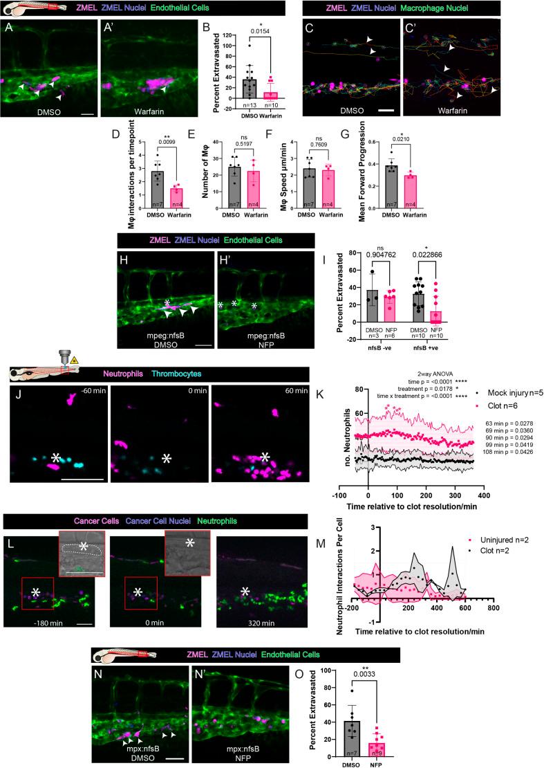 https://cdn.ncbi.nlm.nih.gov/pmc/blobs/0d44/10561694/3e897cb53c49/joces-136-261225-g3.jpg