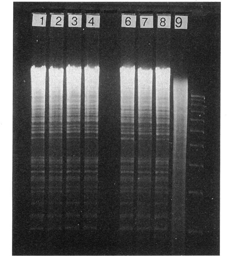 https://cdn.ncbi.nlm.nih.gov/pmc/blobs/0d45/188195/8bf2506764d2/aac00020-0068-a.jpg