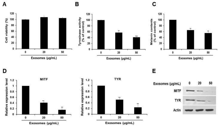 https://cdn.ncbi.nlm.nih.gov/pmc/blobs/0d47/8616206/2e30869c93c1/cells-10-02848-g002.jpg