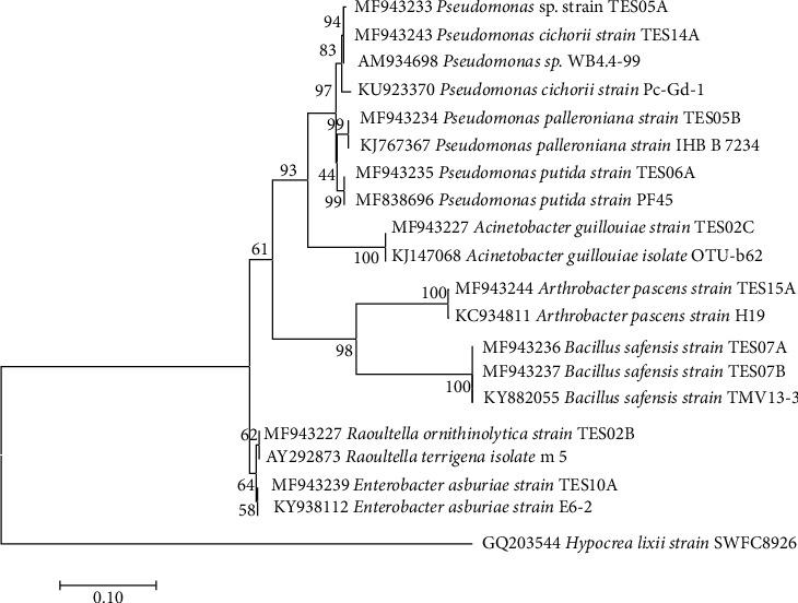 https://cdn.ncbi.nlm.nih.gov/pmc/blobs/0d49/7803143/a74745b0bcd7/ijmicro2020-8839490.001.jpg