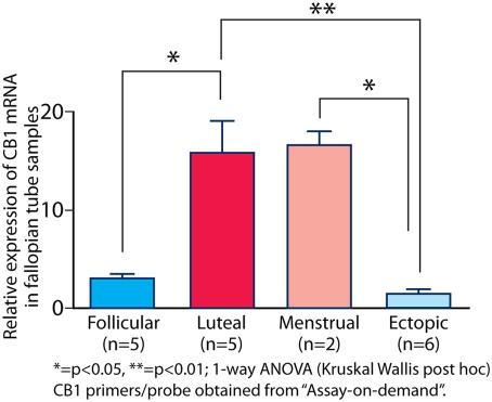 https://cdn.ncbi.nlm.nih.gov/pmc/blobs/0d4b/2601032/466c5cb788d1/pone.0003969.g002.jpg