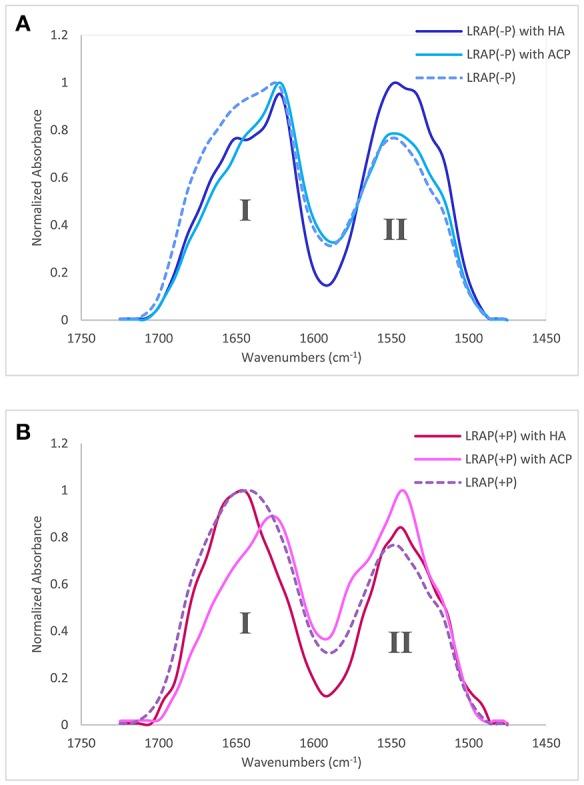 https://cdn.ncbi.nlm.nih.gov/pmc/blobs/0d4c/5489624/62363161c7b8/fphys-08-00450-g0002.jpg