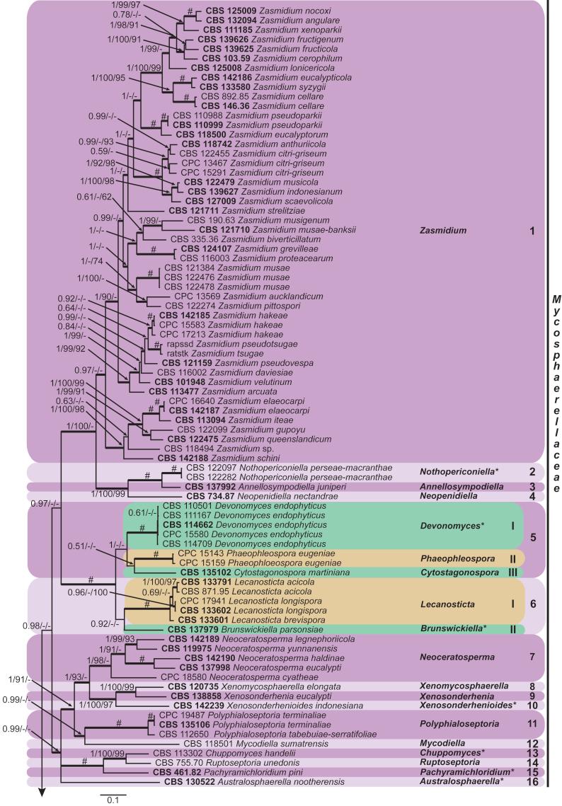 https://cdn.ncbi.nlm.nih.gov/pmc/blobs/0d4c/5693839/e36aaffb9f99/gr4a.jpg