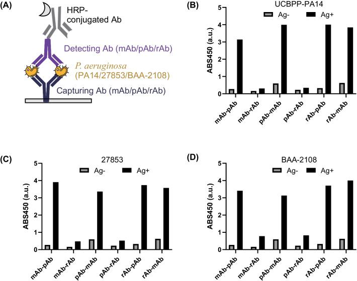 https://cdn.ncbi.nlm.nih.gov/pmc/blobs/0d4c/9354424/c5274129dd75/12896_2022_751_Fig3_HTML.jpg