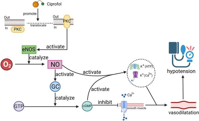 https://cdn.ncbi.nlm.nih.gov/pmc/blobs/0d4d/11975953/e1d9a5dc852a/fphar-16-1572112-g003.jpg