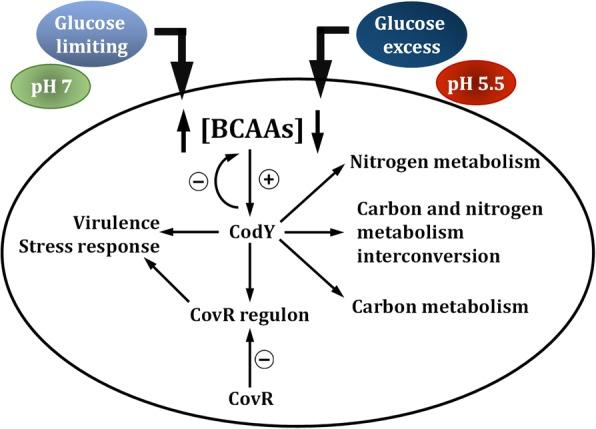https://cdn.ncbi.nlm.nih.gov/pmc/blobs/0d4d/5966866/077904793a2c/12864_2018_4781_Fig9_HTML.jpg