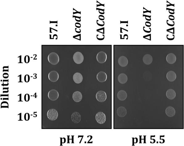 https://cdn.ncbi.nlm.nih.gov/pmc/blobs/0d4d/5966866/96a4fc4f769b/12864_2018_4781_Fig6_HTML.jpg