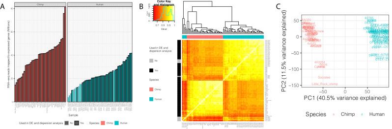 https://cdn.ncbi.nlm.nih.gov/pmc/blobs/0d4d/7644215/7eb4afacd372/elife-59929-fig1.jpg