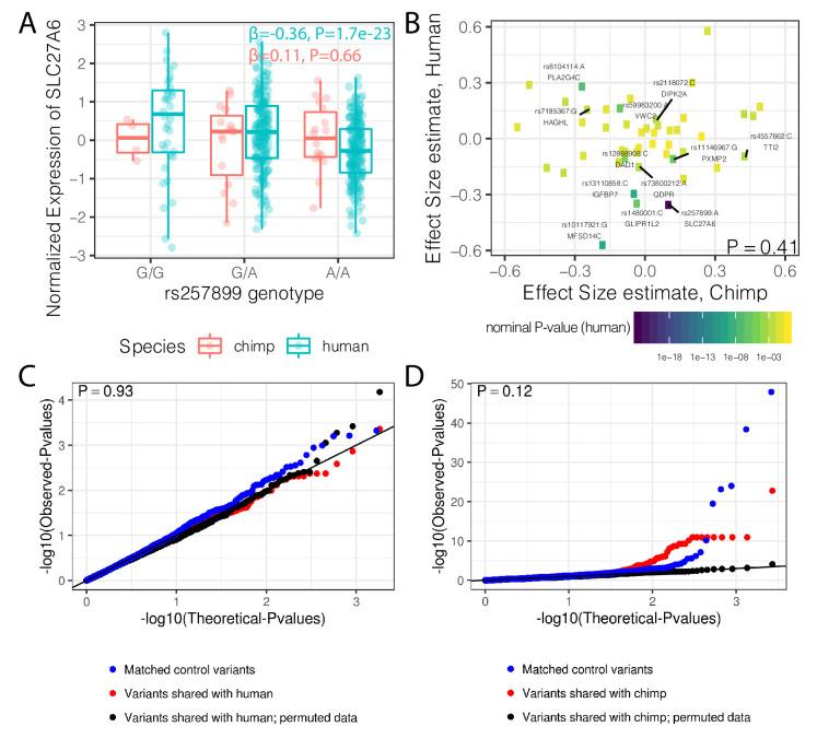 https://cdn.ncbi.nlm.nih.gov/pmc/blobs/0d4d/7644215/eb326fa6ac1a/elife-59929-fig8.jpg